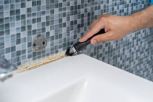 Best Professional Mold Removal  in Oglethorpe, GA