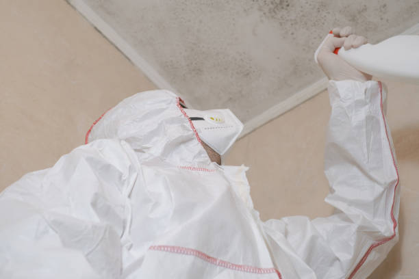 Best Professional Mold Removal  in Oglethorpe, GA